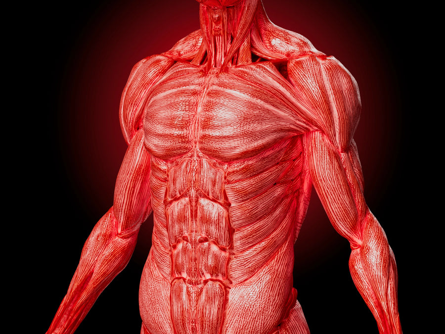 You're Losing Weight. But Your Body Is Sending A Different Signal.