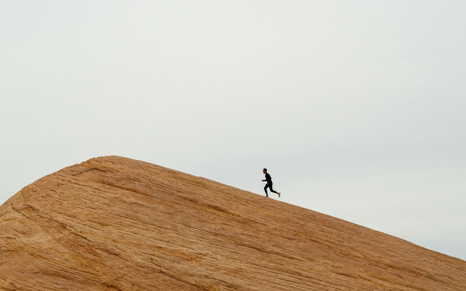 Unlock your potential with Bare.